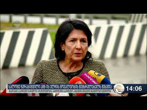 სალომე ზურაბიშვილი აშშ ის ელჩის მოვალეობის შემსრულებელს შეხვდა