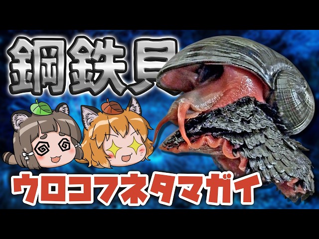 【最硬】鋼鉄の巻貝！ウロコフネタマガイのヤバさ【スケーリーフット】