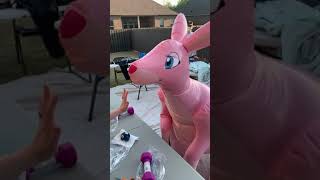 Inflatable pvc kangaroo suit demo