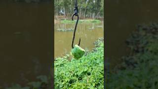 Tempting Gourd Bait, By Big Fish Catch