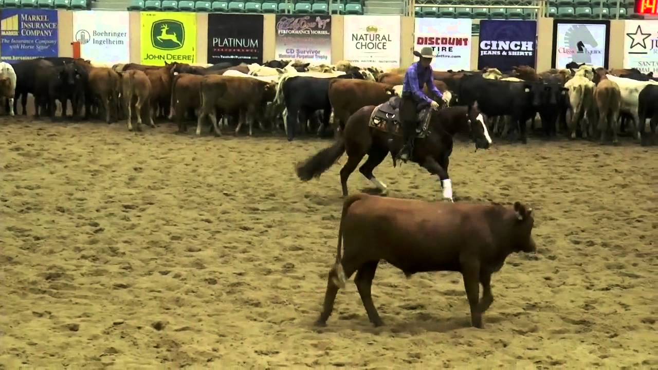 2014 NRCHA Snaffle Bit Futurity Daily Reno Wrap Up September 2223