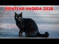 Шукурулло Домла Бидъатлар ҳақида 2020 | Shukurulloh domla  Bidatlar haqida 2020