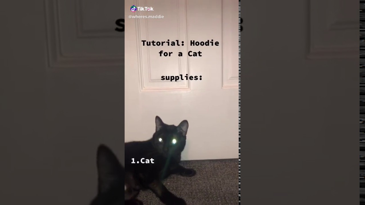 Tutorial of how to make a hoodie for a cat.
