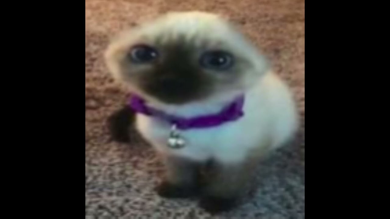 Daniel Larson - Something More (Slowed Reverb)