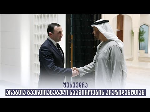 შეხვედრა არაბთა გაერთიანებული საამიროების პრეზიდენტთან