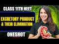 Excretory Products & Elimination in ONE SHOT | All Concept & PYQ | Basic to Advance | Class 11 NEET
