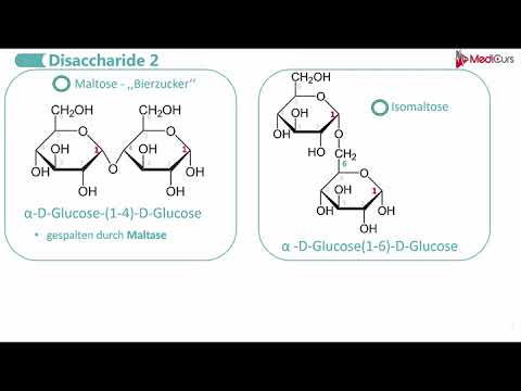 Video: Enth alten Disaccharide Monosaccharide?