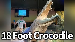 I measured a Giant Crocodile