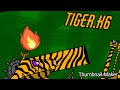 speedpaint Tiger.K6