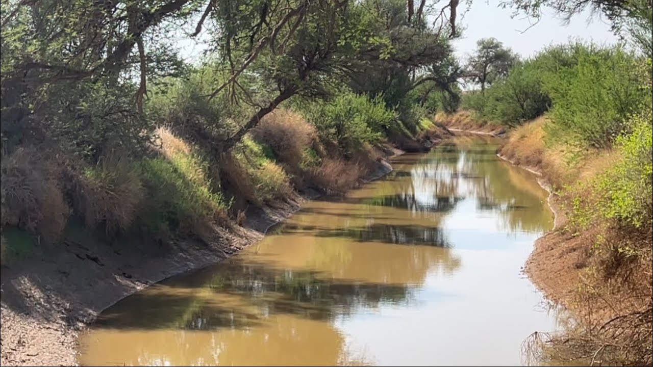 بشاير الربيع في المحتجبة وشعيب فريثان وشعيب الشوكي