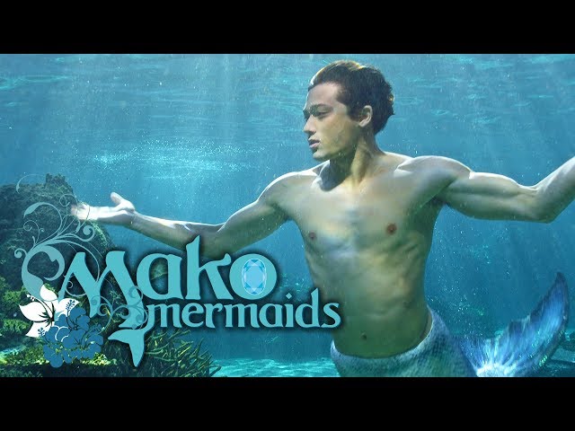 Mako Mermaids Photo: zac  Mako mermaids, Mermaid photos, Mako