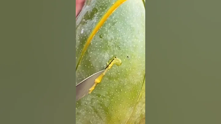 fruit cutting|#shorts