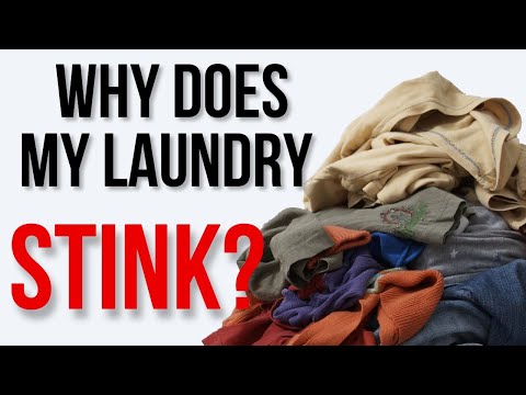 Why does my laundry smell so bad, even after washing? Learn the Laundry Secret