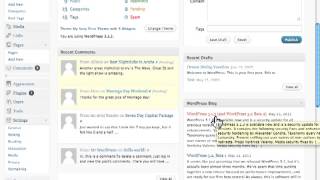 Updating Wordpress and Plugins