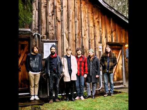 Fleet Foxes - Can't help falling in love with you (Audio Version)