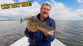 Flathead Fishing at Low Tide – NOTHING Worked Until This Happened!