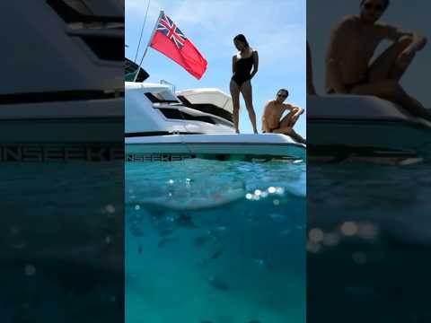 2024 Sunseeker 55
