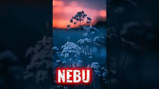 Nebu (Olmadı)