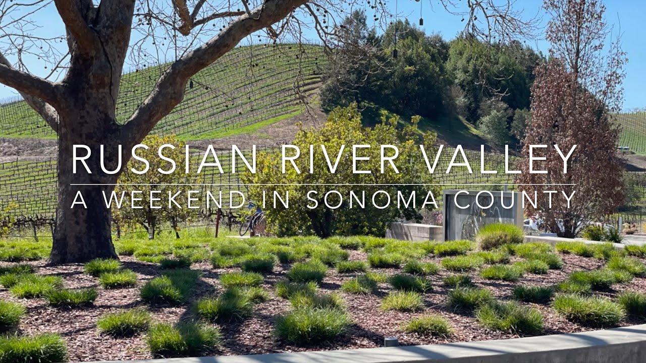 Russian River Valley California YouTube