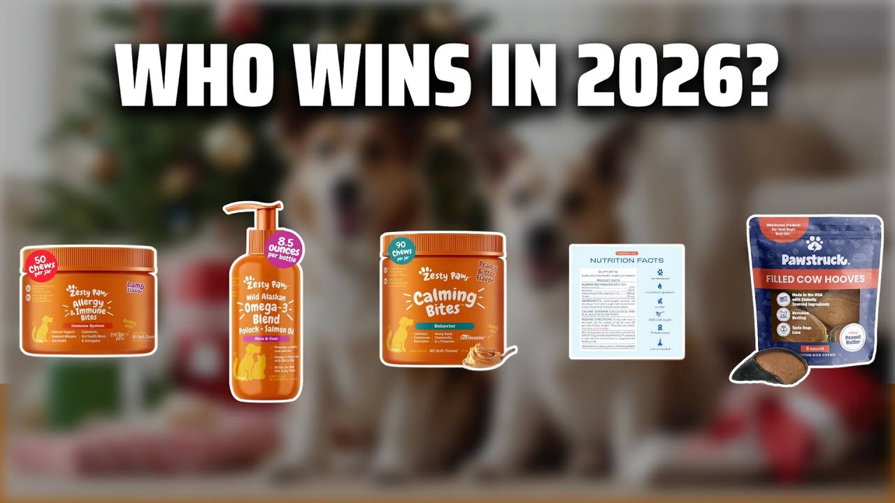 The Top 5 Best Dog Stocking Stuffers in 2026 - Must Watch Before Buying!