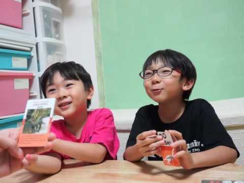 [행복한바오밥] 고피쉬 과학-공룡 활용 퀴즈타임2