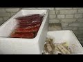 Ирина Волк: В Москве полицейские изъяли из незаконного оборота более 10 тонн рыбной продукции