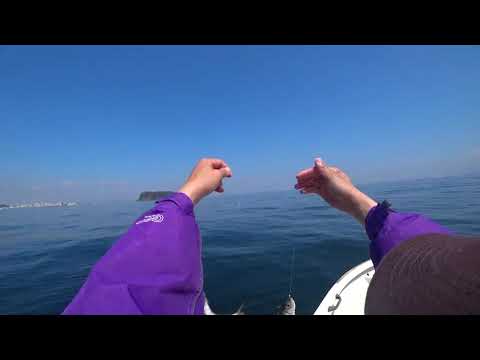 松本ひでおの釣り実況2019年4月24日