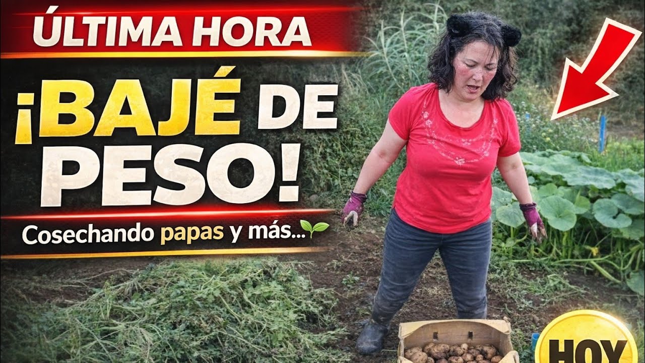 VIDA SIMPLE/ DEL HUERTO AL SUPERMERCADO 🛒 #familiachilena #isladechiloé #vlogschile #dailylife 