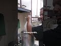LEVANTANDO OS GRÃOS NO BIAD PARA A LAVAGEM