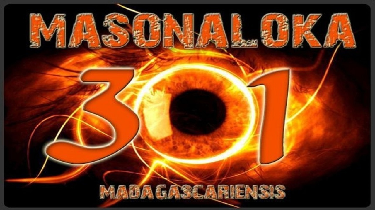 Mason'Aloka 301 - Soa Ihany