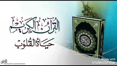 سورة عبس 🍃محمد صديق المنشاوي 🍃