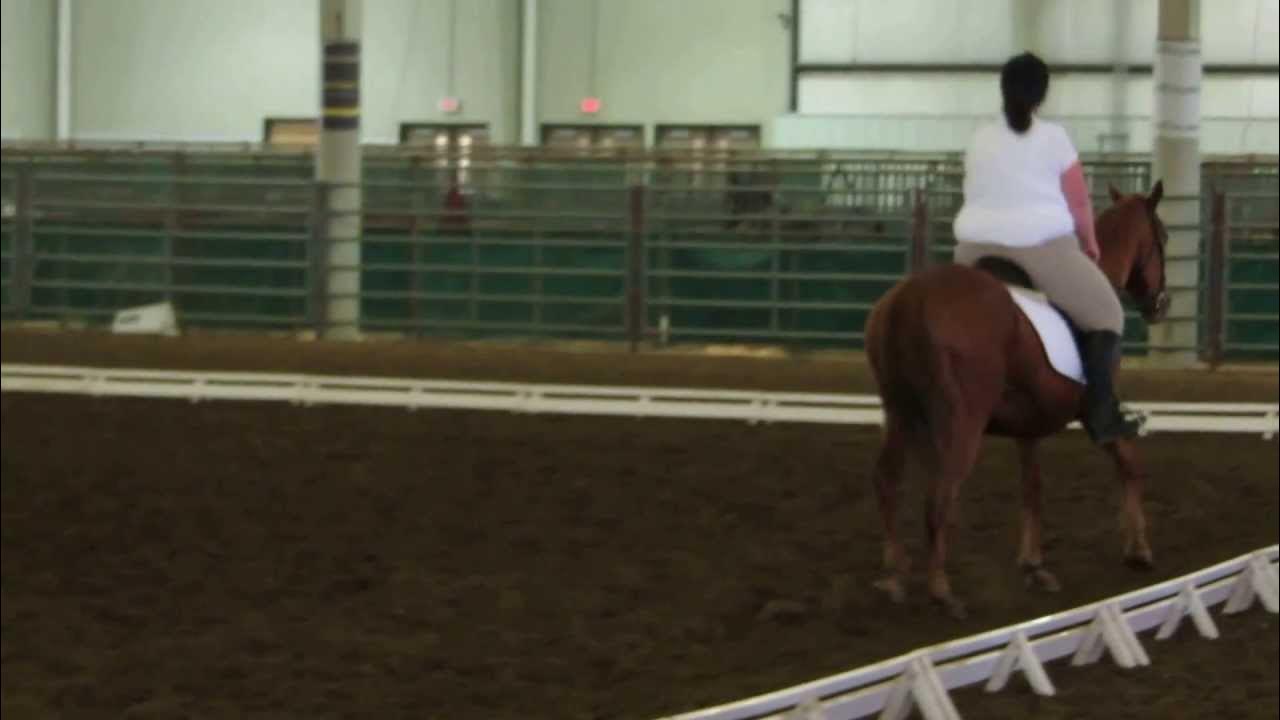 USDF Introductory Level Test A Emily and Memorial Red YouTube