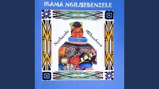 Igama Ngilisebenzele