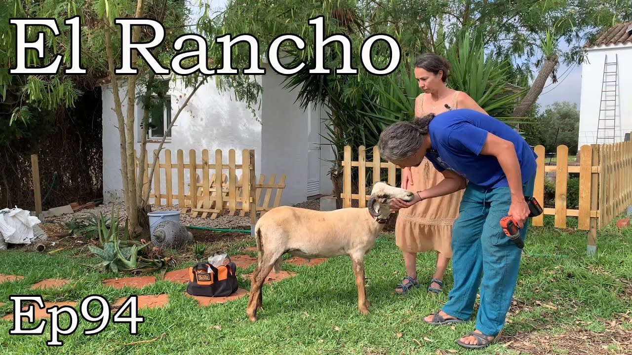Convertimos nuestra casa de campo en un Rancho 🤣🤣🤣 . Ep94.