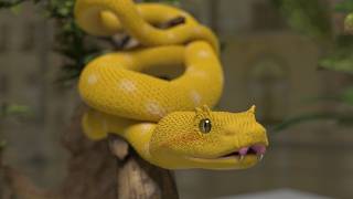 "Realistic 3D Snake Animation | 3ds Max & V-Ray Render by Mahmoud Fathi"