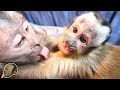 Monkeys Loving & Talking! (CUTENESS OVERLOAD)