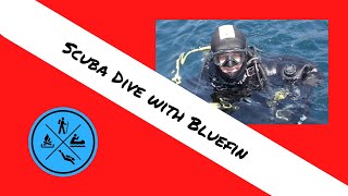 Scuba Dive with Bluefin