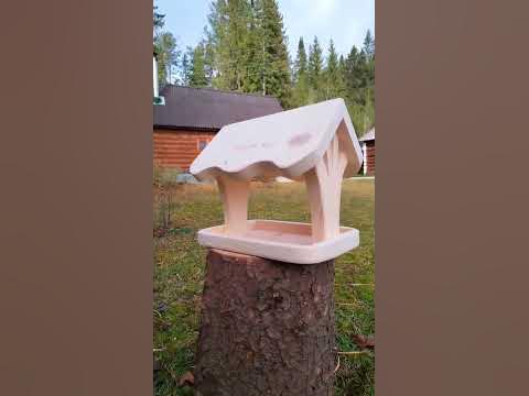 Кормушки в наличии! 🏠🐦🐿️ - YouTube