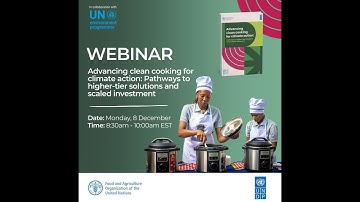 Webinar: Advancing clean cooking for climate action