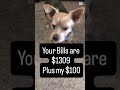 Expectation vs Reality: Payday Edition 💸 #comedy #relatable #shorts