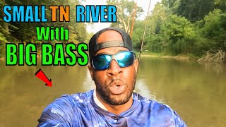 FISHING a Small TENNESSEE RIVER for BIG BASS