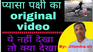 Jitendra sir paraiya || प्यासा पक्षी का original video ||...........