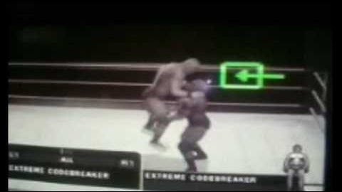 SvR2010 Created Finisher : Extreme Codebreaker