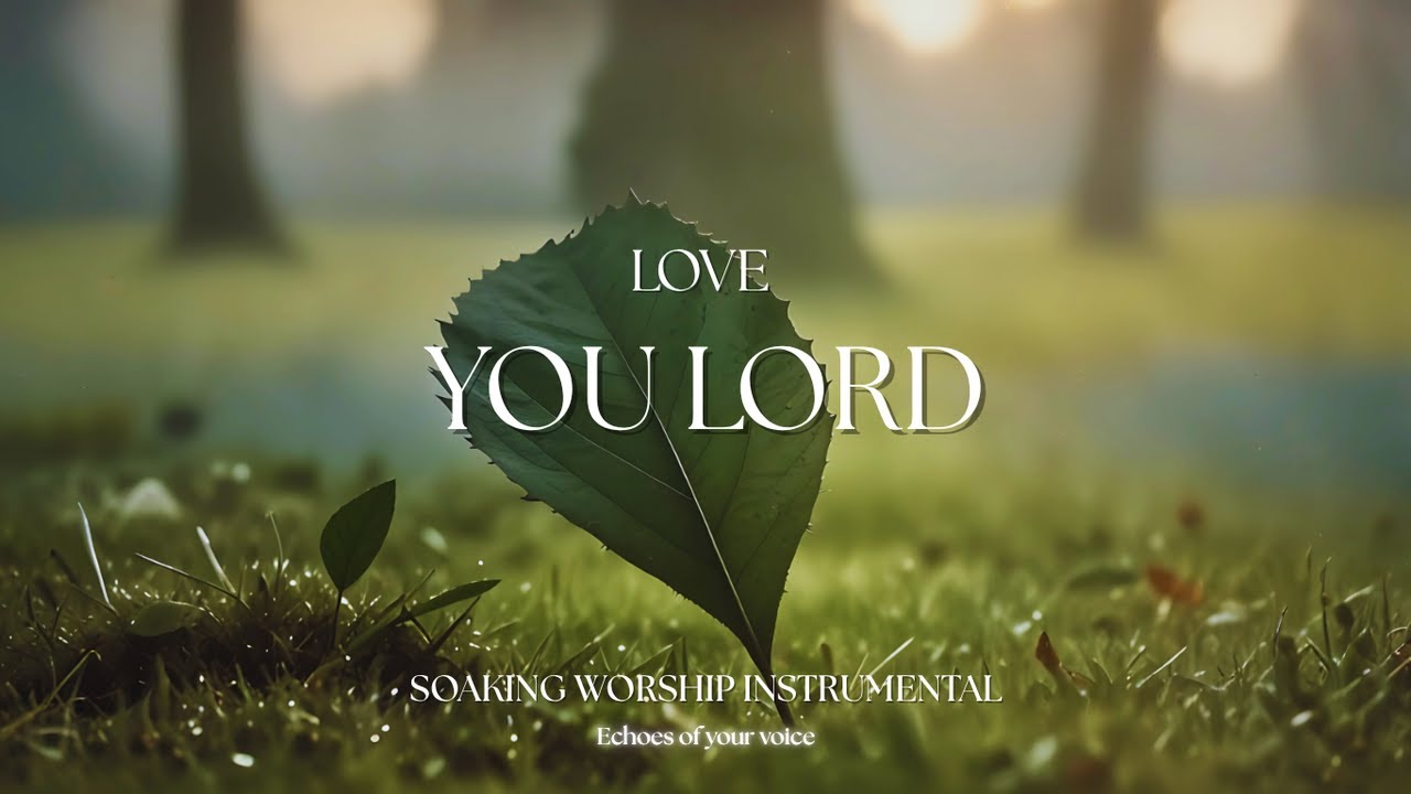 LOVE YOU LORD | Soaking Worship Instrumental - Prayer & Devotional