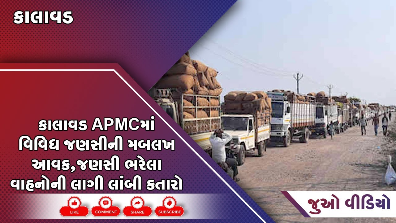 કાલાવડ APMCમાં વિવિધ જણસીની મબલખ આવક,જણસી ભરેલા વાહનોની લાગી લાંબી ...