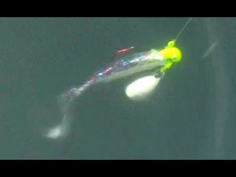 road runner jig heads