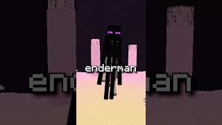 Minecraft Stevein En Korkunç Sırrı