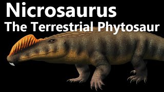 Nicrosaurus: The Terrestrial Phytosaur