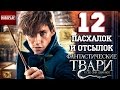 Пасхалки, отсылки и секреты фильма "Фантастические твари и где они обитают"  (Спойлеры)