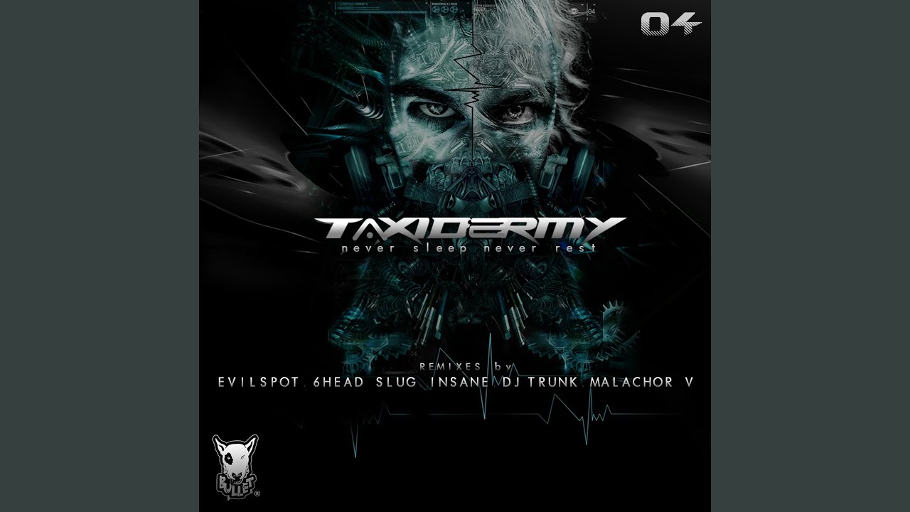 Never Sleep Never Rest (DJ Trunk Remix)